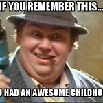 John candy | IF YOU REMEMBER THIS... YOU HAD AN AWESOME CHILDHOOD. | image tagged in john candy | made w/ Imgflip meme maker