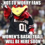 Gamecock | NOT TO WORRY FANS WOMEN'S BASKETBALL WILL BE HERE SOON | image tagged in gamecock | made w/ Imgflip meme maker