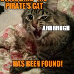 Angry Cat | BLUEBEARD  THE PIRATE'S CAT HAS BEEN FOUND! ARRRRRGH | image tagged in angry cat | made w/ Imgflip meme maker