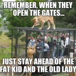 Lion cage people | REMEMBER, WHEN THEY OPEN THE GATES... JUST STAY AHEAD OF THE FAT KID AND THE OLD LADY. | image tagged in lion cage people | made w/ Imgflip meme maker