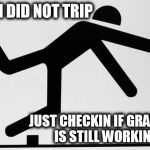 tripping stick | I DID NOT TRIP JUST CHECKIN IF GRAVITY IS STILL WORKIN' | image tagged in tripping stick | made w/ Imgflip meme maker