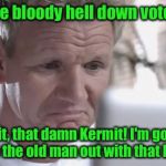 Sad Gordon Ramsay | Who the bloody hell down voted me? Wait, that damn Kermit! I'm going to help the old man out with that bugger! | image tagged in sad gordon ramsay | made w/ Imgflip meme maker