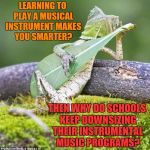 Music | LEARNING TO PLAY A MUSICAL INSTRUMENT MAKES YOU SMARTER? THEN WHY DO SCHOOLS KEEP DOWNSIZING THEIR INSTRUMENTAL MUSIC PROGRAMS? | image tagged in lizard music,schools,classical music,musically oblivious 8th grader | made w/ Imgflip meme maker