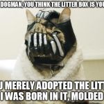 Theatricality and deception are powerful agents to the uninitiated... but we are initiated, aren't we Doge?  | AH YES DOGMAN, YOU THINK THE LITTER BOX IS YOUR ALLY YOU MERELY ADOPTED THE LITTER BOX. I WAS BORN IN IT, MOLDED BY IT | image tagged in bane cat,doge,batman | made w/ Imgflip meme maker