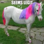 My Little Pony | SEEMS LEGIT | image tagged in my little pony | made w/ Imgflip meme maker