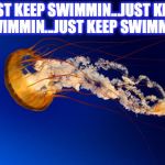 JELLYFISH!!!!!!!!!!!!!!!!!!!!!!!!! | JUST KEEP SWIMMIN...JUST KEEP SWIMMIN...JUST KEEP SWIMMIN | image tagged in jellyfish | made w/ Imgflip meme maker