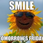 Cool sunflower | SMILE  TOMORROW'S FRIDAY. | image tagged in cool sunflower | made w/ Imgflip meme maker