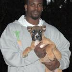 Michael Vick