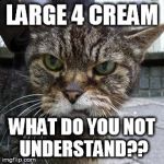 Angry Cat | LARGE 4 CREAM WHAT DO YOU NOT UNDERSTAND?? | image tagged in angry cat | made w/ Imgflip meme maker