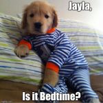 My Sleepy Puppy | Jayla, Is it Bedtime? | image tagged in my sleepy puppy | made w/ Imgflip meme maker