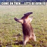 anteater | COME ON THEN......LET'S BE AVIN YA | image tagged in anteater | made w/ Imgflip meme maker