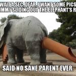 Really, who would design something so badly.  WTF | WAIT A SEC, DEAR, I WANT SOME PICS OF TIMMY SLIDING OUT THE ELEPHANT'S REAR.  SAID NO SANE PARENT EVER. | image tagged in elephant slide | made w/ Imgflip meme maker