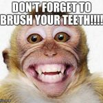 Monkey Smile | DON'T FORGET TO BRUSH YOUR TEETH!!!! | image tagged in monkey smile | made w/ Imgflip meme maker