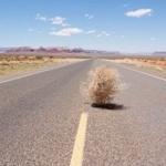 Tumbleweed