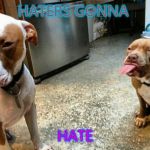 Haters gonna hate | HATERS GONNA HATE | image tagged in haters gonna hate | made w/ Imgflip meme maker