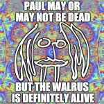 GioSafari | PAUL MAY OR MAY NOT BE DEAD BUT THE WALRUS IS DEFINITELY ALIVE | image tagged in giosafari | made w/ Imgflip meme maker