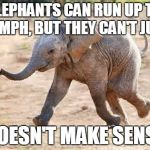 Elephant baby | ELEPHANTS CAN RUN UP TO 25 MPH, BUT THEY CAN'T JUMP DOESN'T MAKE SENSE | image tagged in elephant baby | made w/ Imgflip meme maker