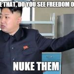 This is Why I Nuke People.  | DO YOU SEE THAT, DO YOU SEE FREEDOM OVER THERE NUKE THEM | image tagged in this is why i nuke people | made w/ Imgflip meme maker