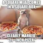 Pizza Dog | A SQUARE MEAL COMES IN A SQUARE BOX, CLEARLY MARKED, "21 - INCH PIZZA." | image tagged in pizza dog | made w/ Imgflip meme maker
