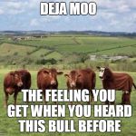 Funny cows | DEJA MOO THE FEELING YOU GET WHEN YOU HEARD THIS BULL BEFORE | image tagged in funny cows | made w/ Imgflip meme maker
