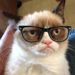 Hipster Grumpy Cat meme
