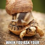 Life in the fast lane | WHEN YOU ASK YOUR FRIEND FOR A LIFT BECAUSE YOU'RE IN A HURRY | image tagged in slow day,fast and furious,slug life,turtle meme | made w/ Imgflip meme maker