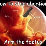 Arm the foetus | How to stop abortions Arm the foetus | image tagged in fetus,foetus,abortion | made w/ Imgflip meme maker