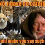 Obi Wan Catnobi | No, I have no catnip, What would make you say such a thing? | image tagged in obi wan catnobi | made w/ Imgflip meme maker