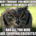 WTF Owl | EVERY THOUGHT YOU WERE BEING SO FUNNY YOU WERE A HOOT? AND ALL YOU HERE ARE CHIRPING CRICKETS? | image tagged in wtf owl | made w/ Imgflip meme maker