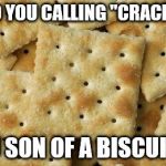 Crackers | WHO YOU CALLING "CRACKER," YOU SON OF A BISCUIT?!! | image tagged in crackers | made w/ Imgflip meme maker