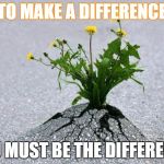 inspirational. | TO MAKE A DIFFERENCE YOU MUST BE THE DIFFERENCE | image tagged in inspirational | made w/ Imgflip meme maker