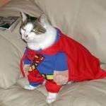 Super Cat