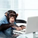 monkey keyboard meme