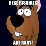 Scared Scooby | RESE RISRIKES ARE RARY! | image tagged in scared scooby | made w/ Imgflip meme maker