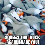 Duck Army | SQUEEZE THAT DUCK AGAIN, I DARE YOU! | image tagged in duck army | made w/ Imgflip meme maker