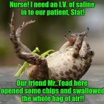 It must be a full moon tonight....... | Nurse! I need an I.V. of saline in to our patient, Stat! Our friend Mr. Toad here opened some chips and swallowed the whole bag of air!! | image tagged in praying mantis technique,mantis tickling toad | made w/ Imgflip meme maker
