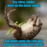 It seems Sarah got the job of entertaining her nephew Jake, again! | Itsy, bitsy, spider went up the water spout, and down came the rain and washed the spider out!  He he! | image tagged in praying mantis technique,mantis tickling toad | made w/ Imgflip meme maker