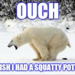 pooping bear | OUCH WISH I HAD A SQUATTY POTTY | image tagged in pooping bear | made w/ Imgflip meme maker