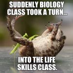 Praying Mantis Technique | SUDDENLY BIOLOGY CLASS TOOK A TURN... INTO THE LIFE SKILLS CLASS. | image tagged in praying mantis technique | made w/ Imgflip meme maker