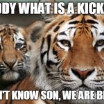 tigers bullpen with real tigers | DADDY WHAT IS A KICKER? WE DON'T KNOW SON, WE ARE BENGALS | image tagged in tigers bullpen with real tigers | made w/ Imgflip meme maker