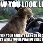 Unhelpful Cat | HOW YOU LOOK LIKE WHEN YOUR PARENTS ASK YOU TO DO CHORES WHILE YOU'RE PLAYING VIDEO GAMES | image tagged in unhelpful cat | made w/ Imgflip meme maker