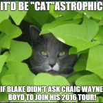 Cat in bush | IT'D BE "CAT"ASTROPHIC IF BLAKE DIDN'T ASK CRAIG WAYNE BOYD TO JOIN HIS 2016 TOUR! | image tagged in cat in bush | made w/ Imgflip meme maker