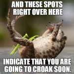 The fortune telling praying mantis | AND THESE SPOTS RIGHT OVER HERE INDICATE THAT YOU ARE GOING TO CROAK SOON. | image tagged in praying mantis technique | made w/ Imgflip meme maker