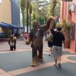 Wookie