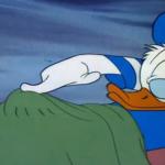 Donald duck