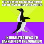 Socially Stupidly Backwards Penguin | DID YOU KNOW THE AVERAGE HUMAN CAN FIT 17 STRARFISH IN HIS MOUTH? IN UNRELATED NEWS, I'M BANNED FROM THE AQUARIUM | image tagged in socially stupidly backwards penguin | made w/ Imgflip meme maker