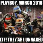 Playboy 2016 | PLAYBOY, MARCH 2016 WTF! THEY ARE UNNAKED... | image tagged in turtles | made w/ Imgflip meme maker