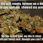 Sweet Leaf | My life was empty, forever on a down Until you took me, showed me around My life is free now, my life is clear I love you sweet leaf, thoug | image tagged in sweet leaf,cannabis,weed,marijuana,medicinal,smoke weed everyday | made w/ Imgflip meme maker