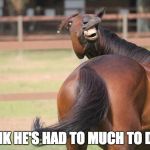 funny horse | I THINK HE'S HAD TO MUCH TO DRINK | image tagged in funny horse | made w/ Imgflip meme maker