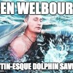 Putin Dolphins | BEN WELBOURN PUTIN-ESQUE DOLPHIN SAVER! | image tagged in putin dolphins | made w/ Imgflip meme maker
